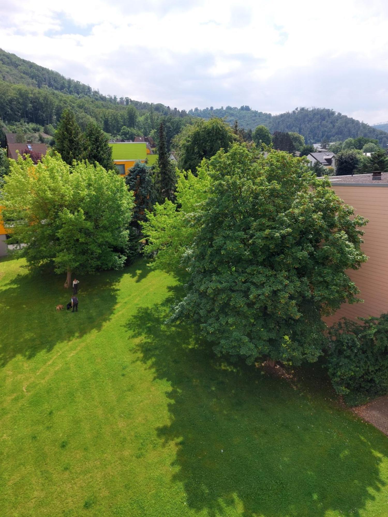 Burgberg-Blick Lägenhet Bad Harzburg Exteriör bild